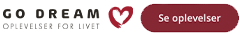 go dream