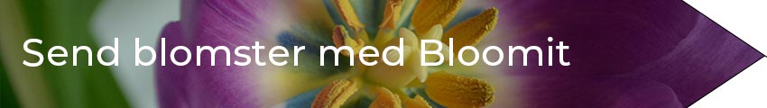 send blomster