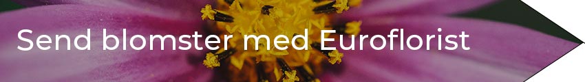 send blomster